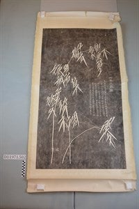 Image description is not available for DU1971.502